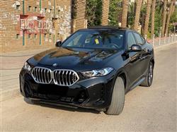 بي ام دبليو X6